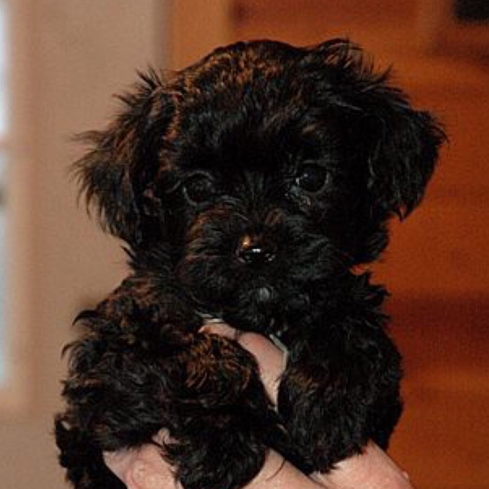 Meet your Posher, Kaitlyn